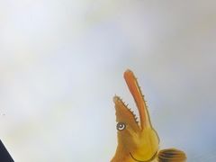 -徽三说·土徽菜·中国徽菜连锁品牌(一中店)