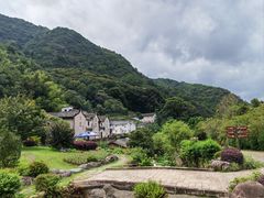 -雁南飞茶田景区