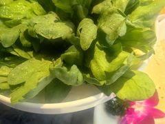 -百草滩羊清水涮羊肉·清真·宁夏盐池滩羊(莲花桥店)