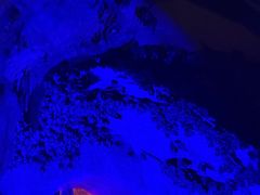 -伏牛地下河景区