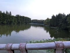 -东湖落雁景区