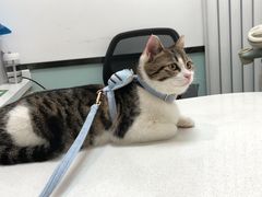 -中农大我爱我爱动物医院·核磁CT·猫病·24小时夜诊中心(石佛营店)