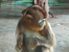 -大连森林动物园