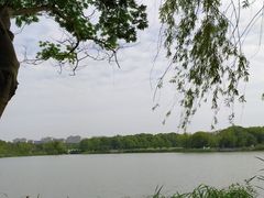 -昆山城市生态森林公园