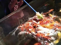 -石家庄海洋公园