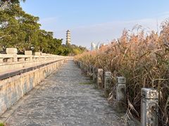 -江心屿景区