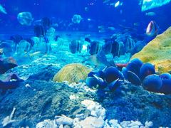 -华夏文旅西安度假区