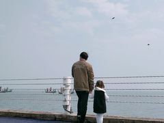 -贡湖湾湿地公园