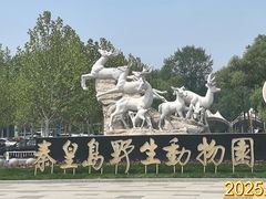 -秦皇岛野生动物园