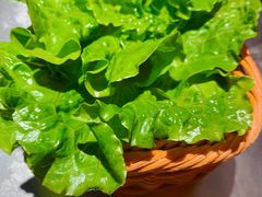 -梅梅家的烤肉店(槐北路店)