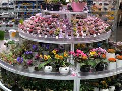 -KKV(深圳kk one 店)