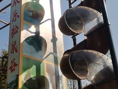 -欢乐松鼠谷