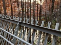 -福道
