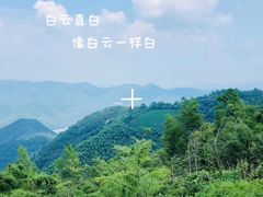-莫干山风景区
