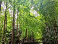 -同里国家湿地公园