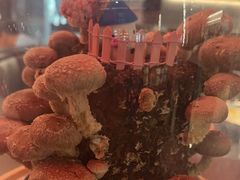 -捞王猪肚鸡火锅(金华义乌之心店)