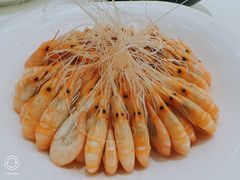 盐焗白米虾-金时代顺风大酒店(金山店)