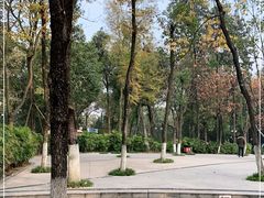 -塔子山公园