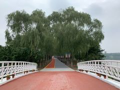 -大兴滨河森林公园