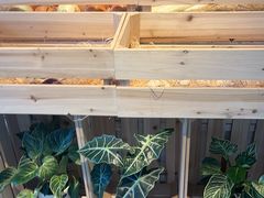 -1861意大利餐厅(文化广场店)