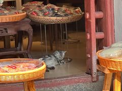 -仁信老铺(华盖路店)