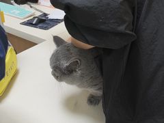 -全心全意连锁动物医院·微创中心·内科急重症·心脏专科(丰管路店)