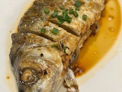 香煎鲮鱼-正德顺順德雙皮奶(中信店)
