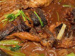 -老板恋上鱼(恒隆广场店)