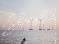 -宝安西湾红树林湿地公园