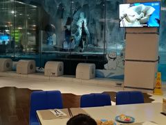 -帝企鹅自助餐厅•儿童岛•真企鹅(长隆企鹅酒店)