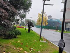 -金陵中学(河西分校)