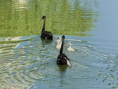 -朝阳公园游乐园