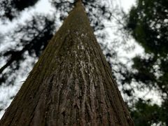 -刘伯温故里景区百丈漈