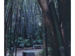 -晓港公园