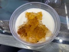 桃胶双皮炖奶-义顺牛奶公司(新马路老店)