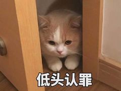 -振鼎鸡(福州路店)