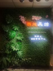 -西施无菌半永久纹绣眉眼影唇轻增发纹发际线