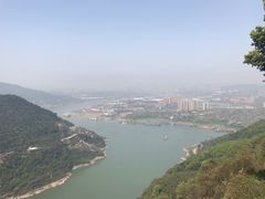 -铁山坪森林公园