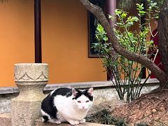 -龙华寺