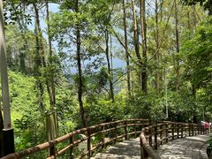 -水濂山森林公园