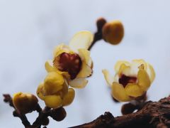 -丰台花园