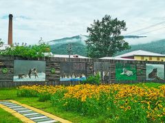 -横道河子东北虎林园