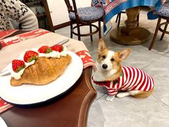 -艾蜜西餐厅(梅园店)