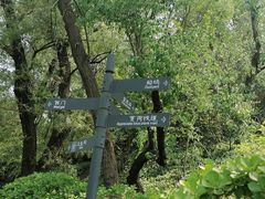 -迎泽公园