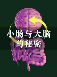 -素妍国际皮肤管理中心