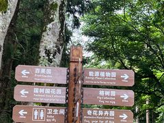 -中国科学院西双版纳热带植物园