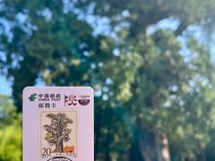 -黄帝陵