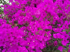 -贵阳市花溪国家城市湿地公园