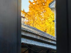 -颐和路民国时期公馆风貌区