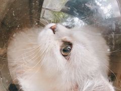 -宠颐生汉谟拉比宠物医院